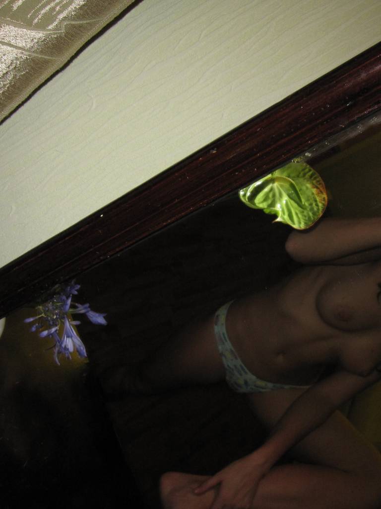 Photo de Candis